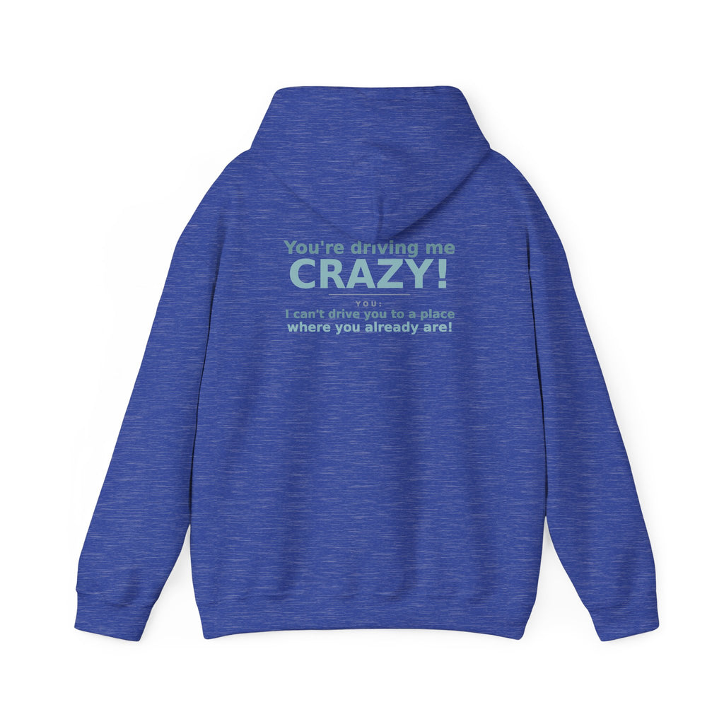 You're Driving Me Crazy Funny Hoodie - Couples Banter Hoodie (Colors A-L)