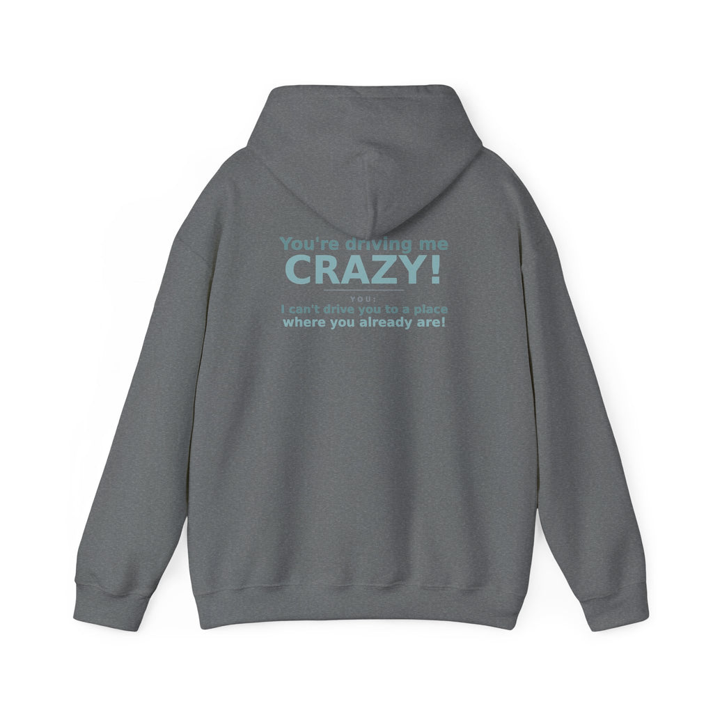 You're Driving Me Crazy Funny Hoodie - Couples Banter Hoodie (Colors A-L)