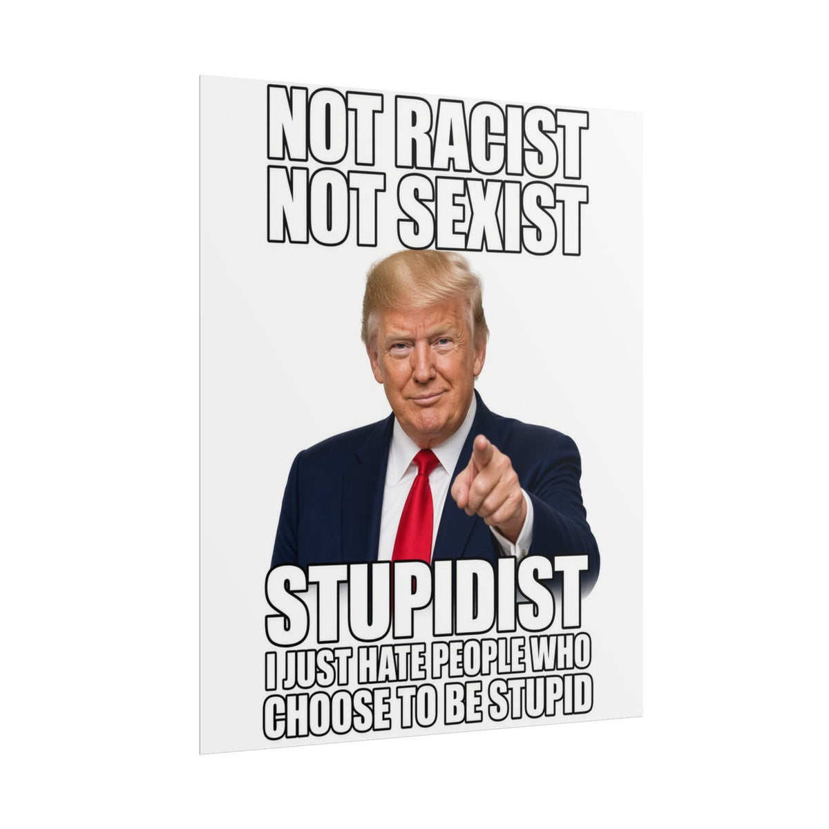 STUPIDIST Funny Meme Poster – Political Humor Wall Art
