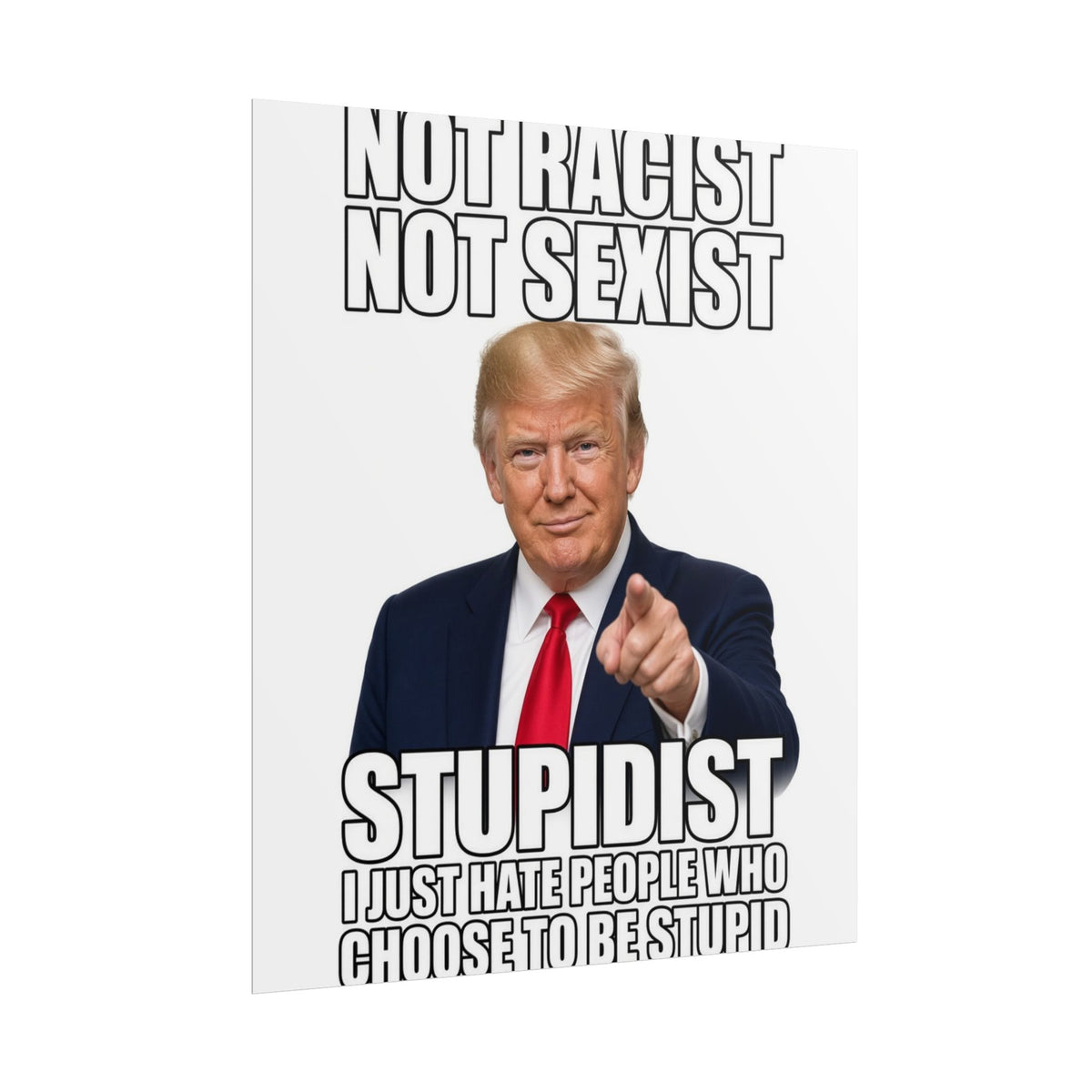 STUPIDIST Funny Meme Poster – Political Humor Wall Art