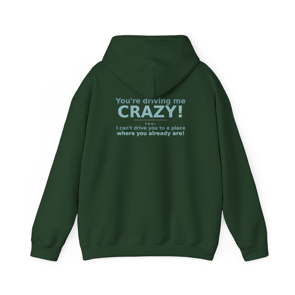 You're Driving Me Crazy Funny Hoodie - Couples Banter Hoodie (Colors A-L)