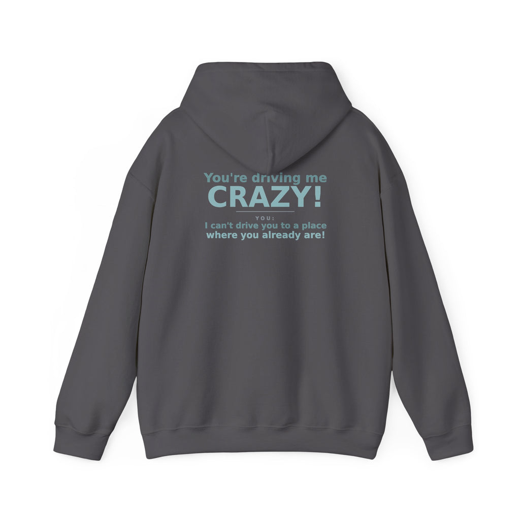 You're Driving Me Crazy Funny Hoodie - Couples Banter Hoodie (Colors A-L)