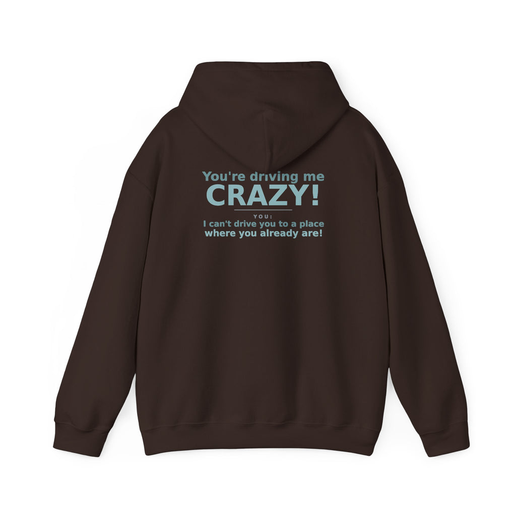 You're Driving Me Crazy Funny Hoodie - Couples Banter Hoodie (Colors A-L)