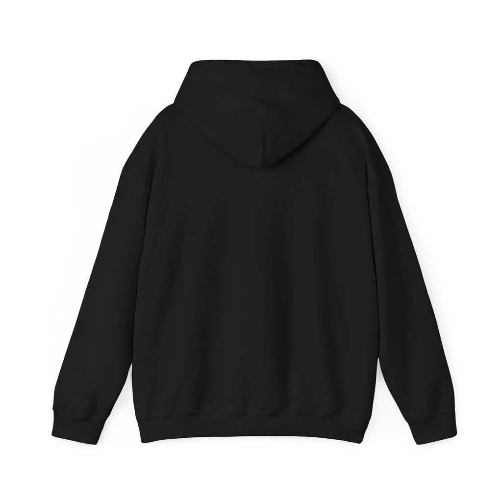 Crab Island Radio Pirate Crab Hoodie – Destin Florida Pontoon Hooded Sweatshirt