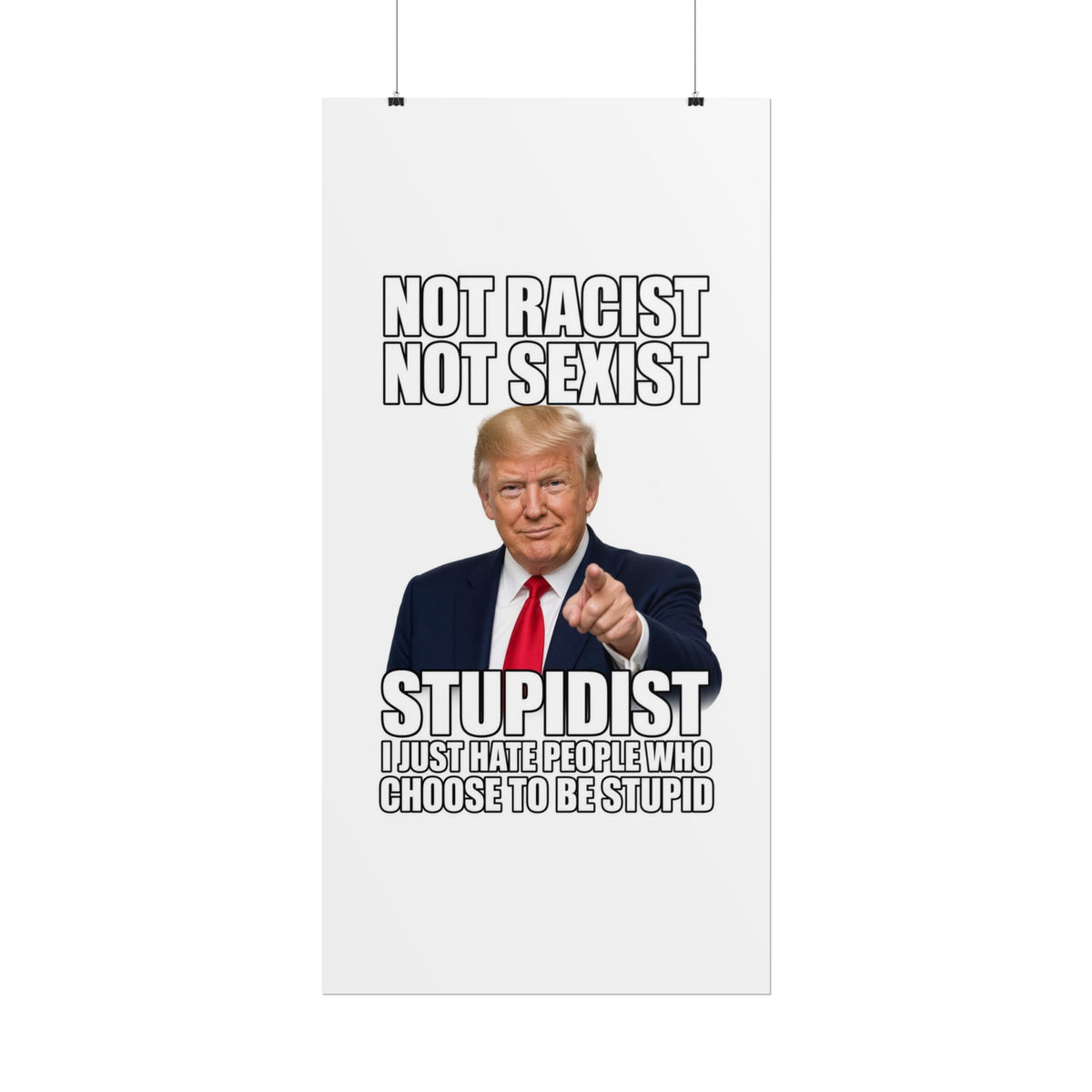 STUPIDIST Funny Meme Poster – Political Humor Wall Art