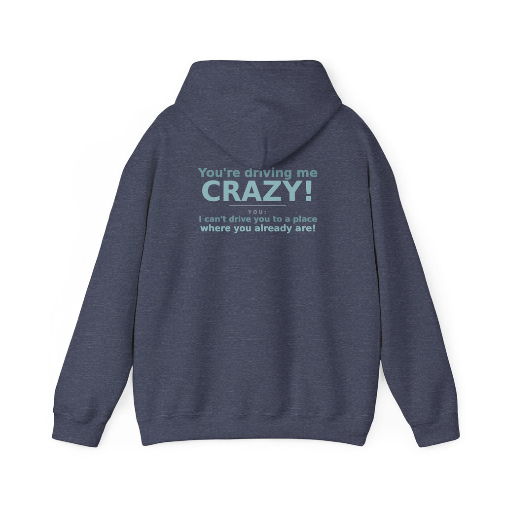 You're Driving Me Crazy Funny Hoodie - Couples Banter Hoodie (Colors A-L)